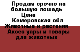 Продам срочно на большую лошадь › Цена ­ 4 500 - Кемеровская обл. Животные и растения » Аксесcуары и товары для животных   